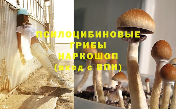 мдпв Медногорск