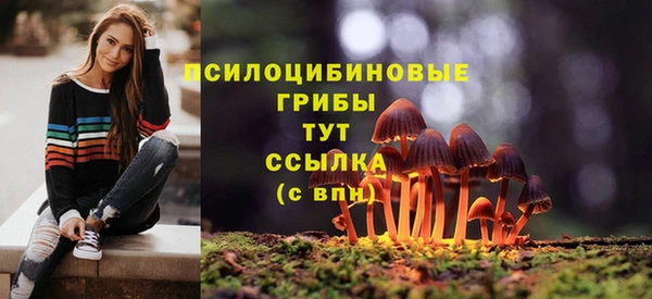 мдпв Медногорск