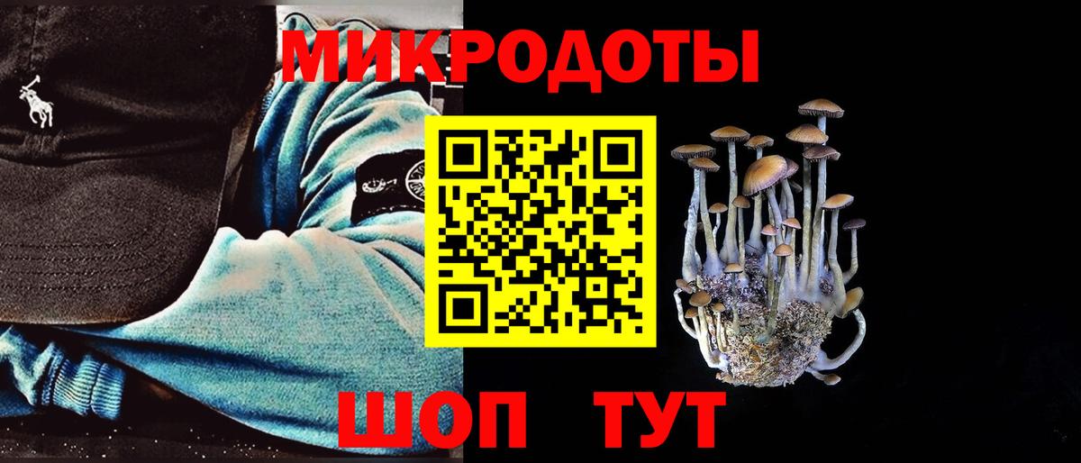 Троицк  Псилоцибиновые грибы Cubensis  Вход с VPN 